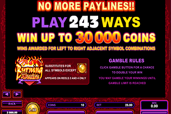 Burning Desire - таблица выплат